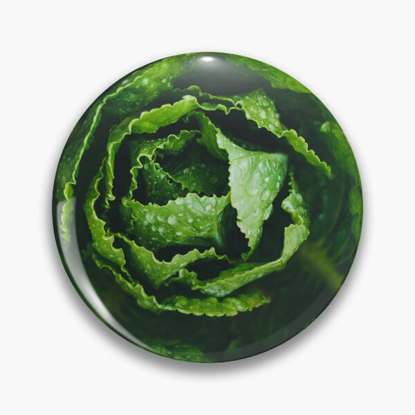 Item preview, Lettuce designed and sold by GasconyPassion.