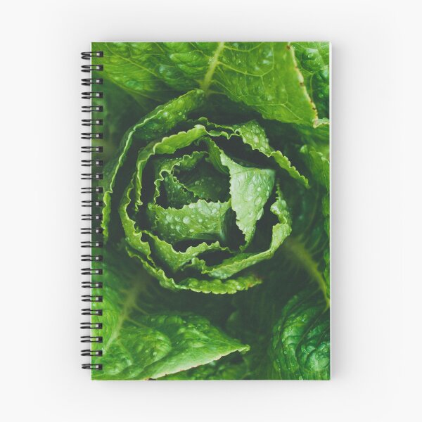 Item preview, Lettuce designed and sold by GasconyPassion.