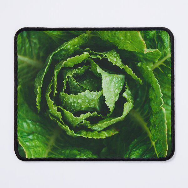 Item preview, Lettuce designed and sold by GasconyPassion.