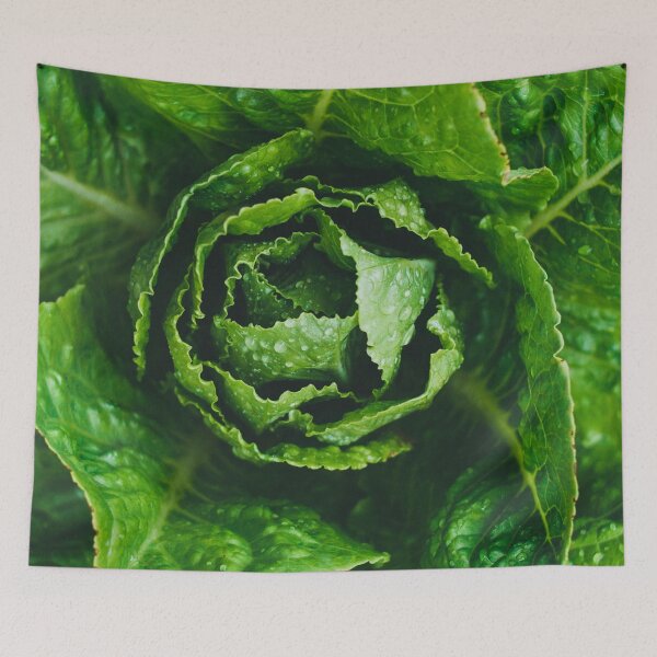 Item preview, Lettuce designed and sold by GasconyPassion.