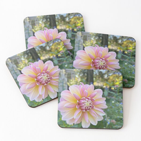 Item preview, Pink and Cream Dahlia designed and sold by Lachae.