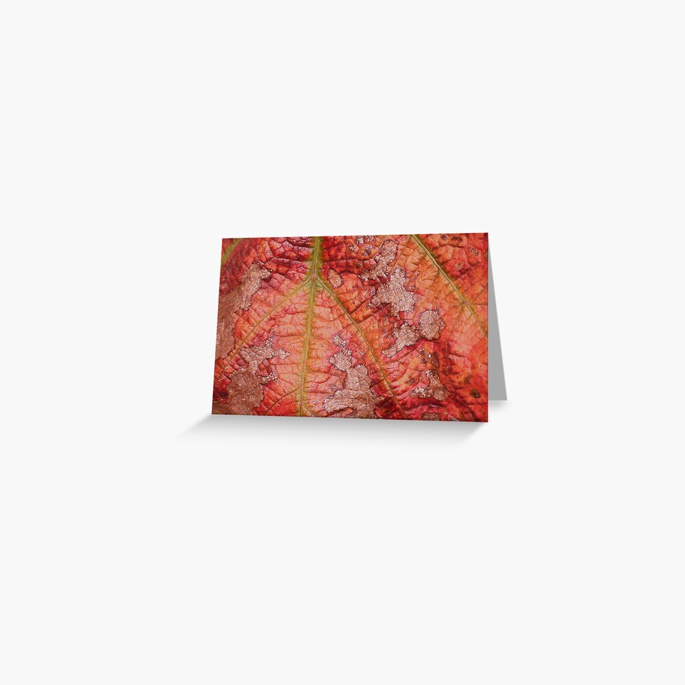 Item preview, Greeting Card designed and sold by EltonCarr.