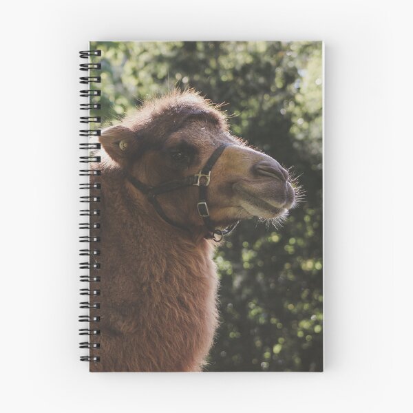 Item preview, Bactrian camel designed and sold by brookecabin.