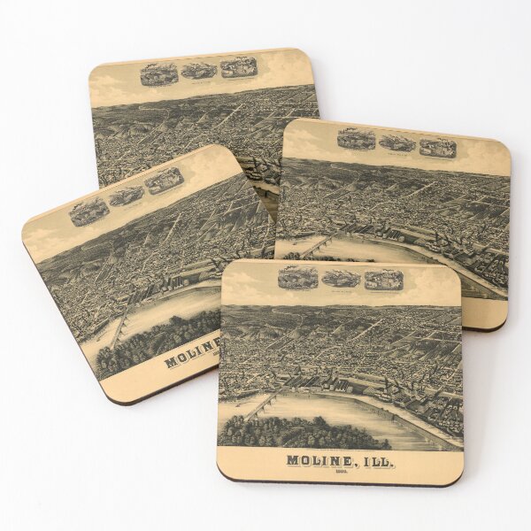 Item preview, Aerial View of Moline, Illinois (1889) designed and sold by allhistory.