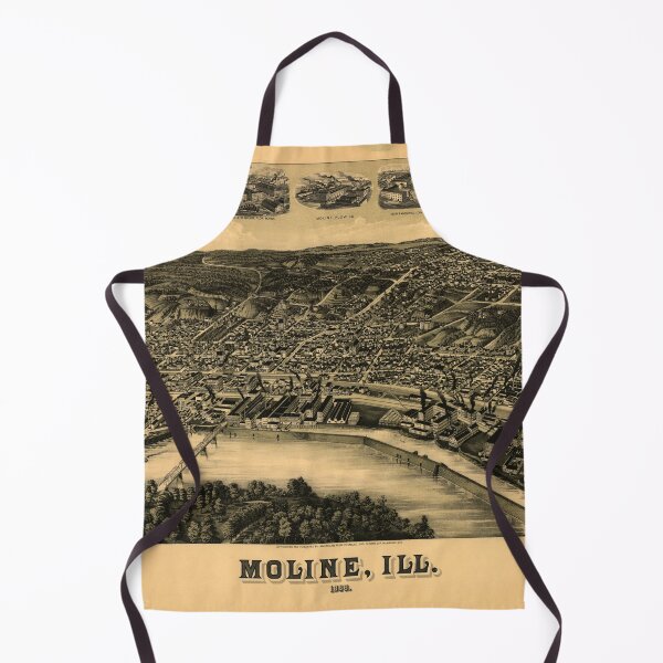 Item preview, Aerial View of Moline, Illinois (1889) designed and sold by allhistory.