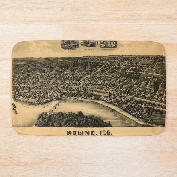 Item preview, Aerial View of Moline, Illinois (1889) designed and sold by allhistory.
