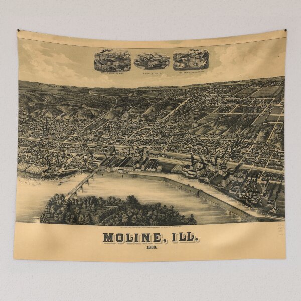 Item preview, Aerial View of Moline, Illinois (1889) designed and sold by allhistory.
