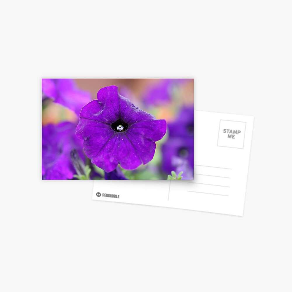 Item preview, Postcard designed and sold by EltonCarr.