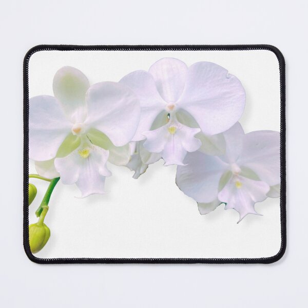 Item preview, White Orchid Trio designed and sold by Kmcantley.