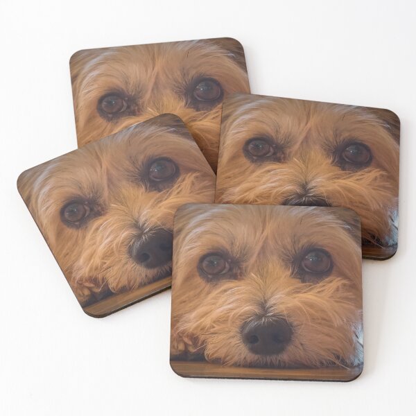 Item preview, Daisy designed and sold by Viv Thompson Photography .