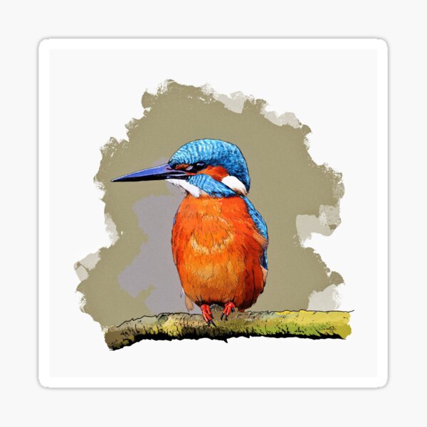 der Eisvogel Sticker