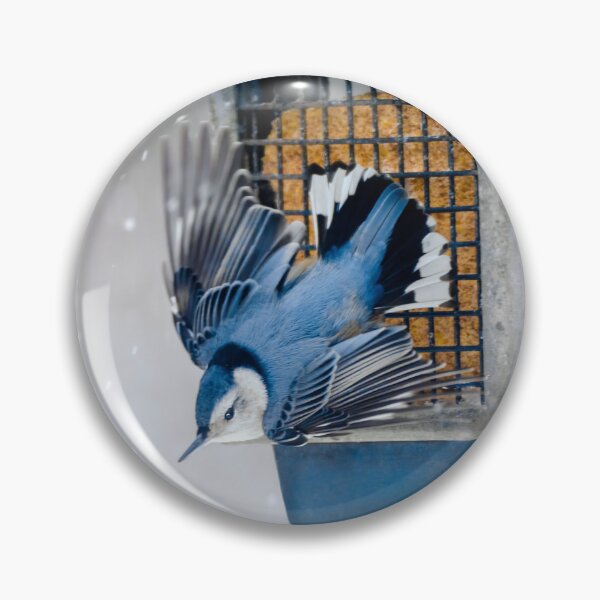Item preview, White-Breasted Nuthatch in Snow Photograph designed and sold by alpendesigns.