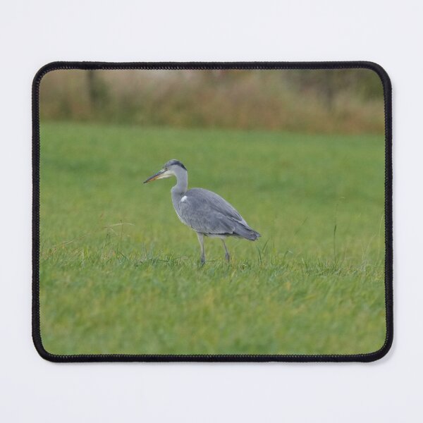 Item preview, Gray heron on the meadow designed and sold by Binas-gallery.