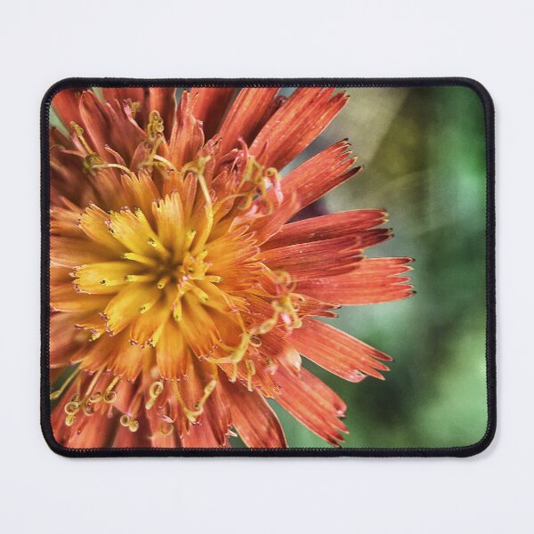 Item preview, Tasselflower designed and sold by Jason Tompkins.