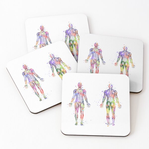 Item preview, Human Body Muscles Watercolor designed and sold by LotusGifts.