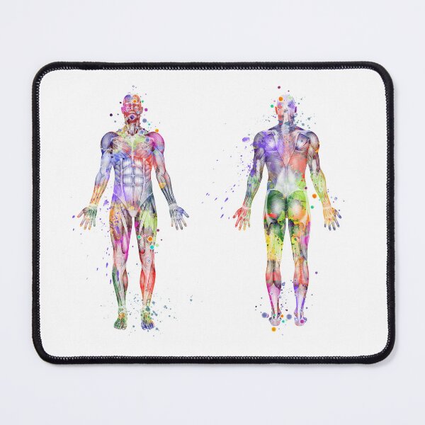 Item preview, Human Body Muscles Watercolor designed and sold by LotusGifts.