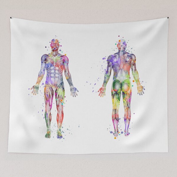 Item preview, Human Body Muscles Watercolor designed and sold by LotusGifts.