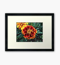 Red / Orange Flowers Framed Print