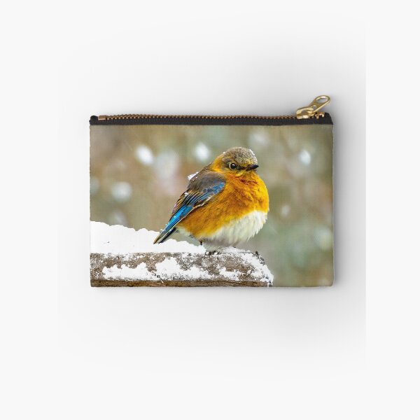 Artikelvorschau, Ostdrossel im Schnee - Originalfoto entworfen und verkauft von alpendesigns.