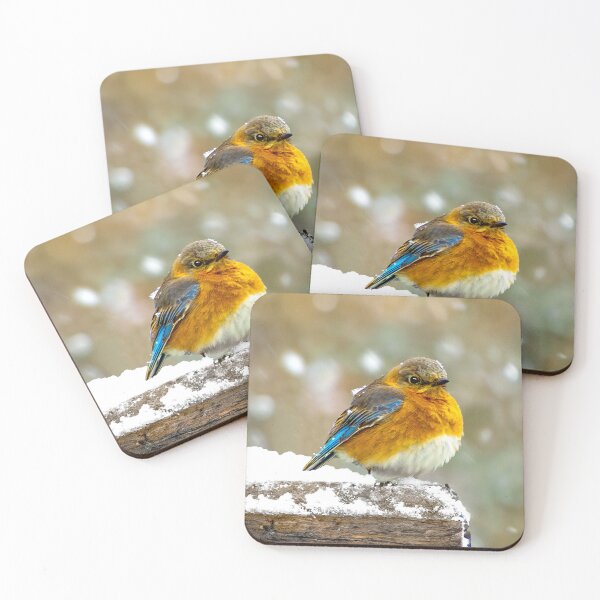 Item preview, Eastern Bluebird in Snow - Original Photograph designed and sold by alpendesigns.
