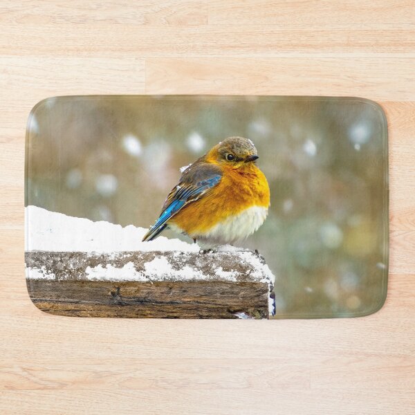Item preview, Eastern Bluebird in Snow - Original Photograph designed and sold by alpendesigns.