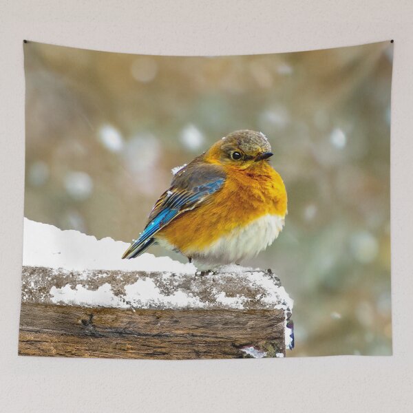 Item preview, Eastern Bluebird in Snow - Original Photograph designed and sold by alpendesigns.