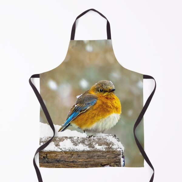 Artikelvorschau, Ostdrossel im Schnee - Originalfoto entworfen und verkauft von alpendesigns.