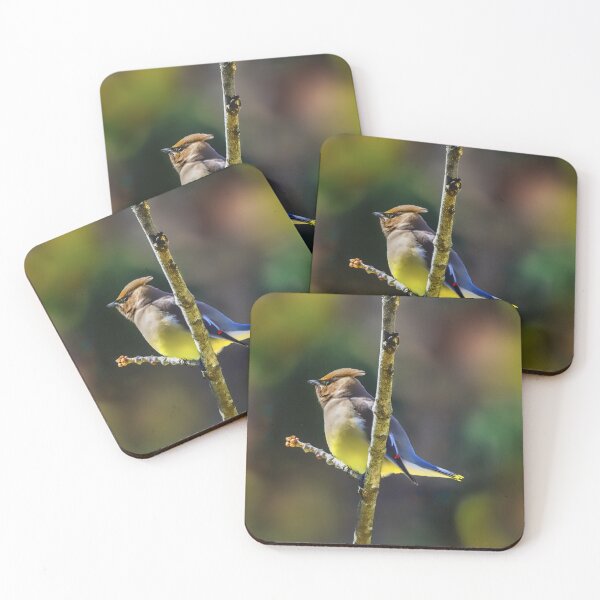 Item preview, Cedar Waxwing - Original Photograph designed and sold by alpendesigns.