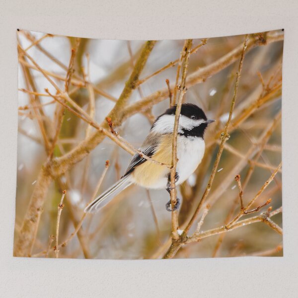 Item preview, Black-Capped Chickadee - Original Photograph designed and sold by alpendesigns.