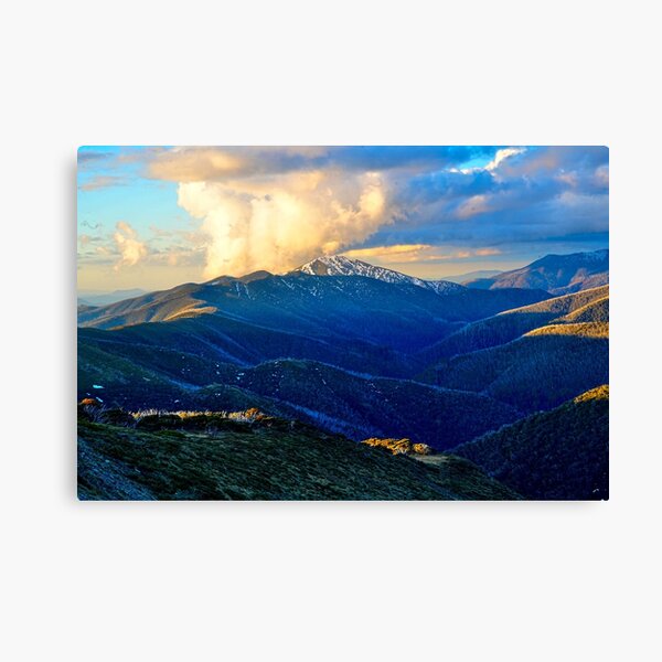 Item preview, Feathertop, Vic designed and sold by Harry Oldmeadow.
