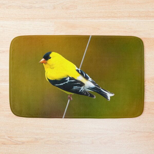 Item preview, American Goldfinch - Original Photograph designed and sold by alpendesigns.