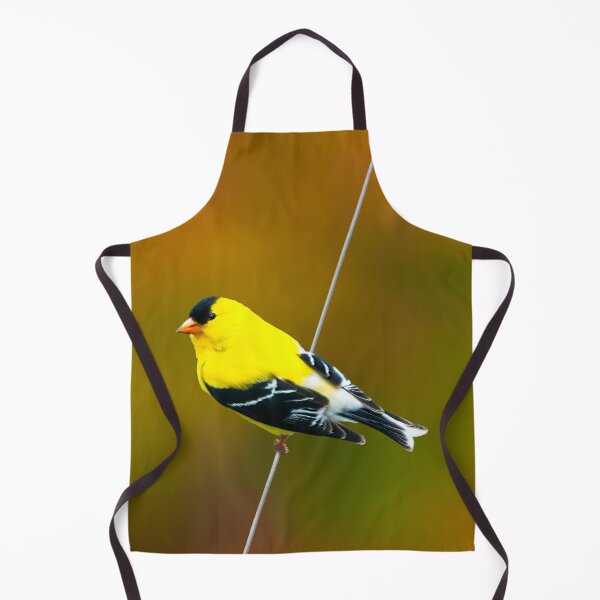 Item preview, American Goldfinch - Original Photograph designed and sold by alpendesigns.