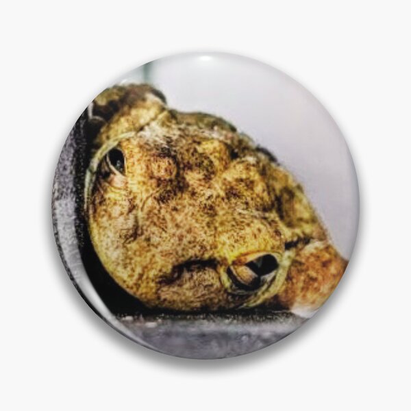 Item preview, Frog Ledge designed and sold by HazelEyeStudio.