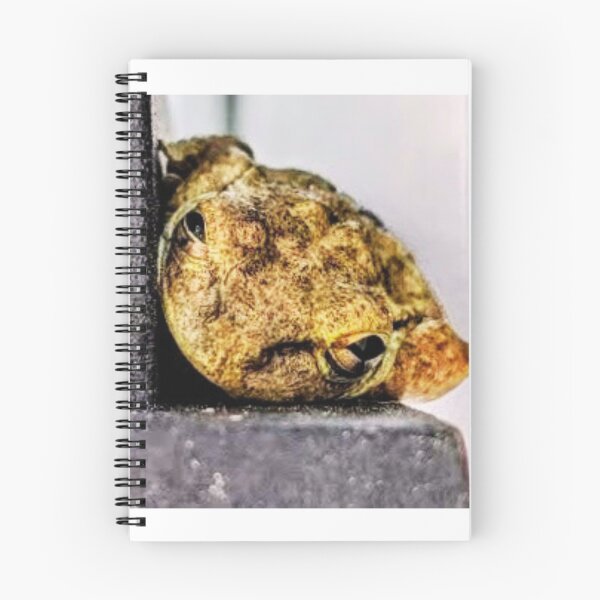 Item preview, Frog Ledge designed and sold by HazelEyeStudio.