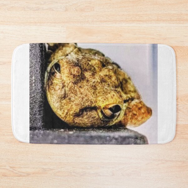 Item preview, Frog Ledge designed and sold by HazelEyeStudio.