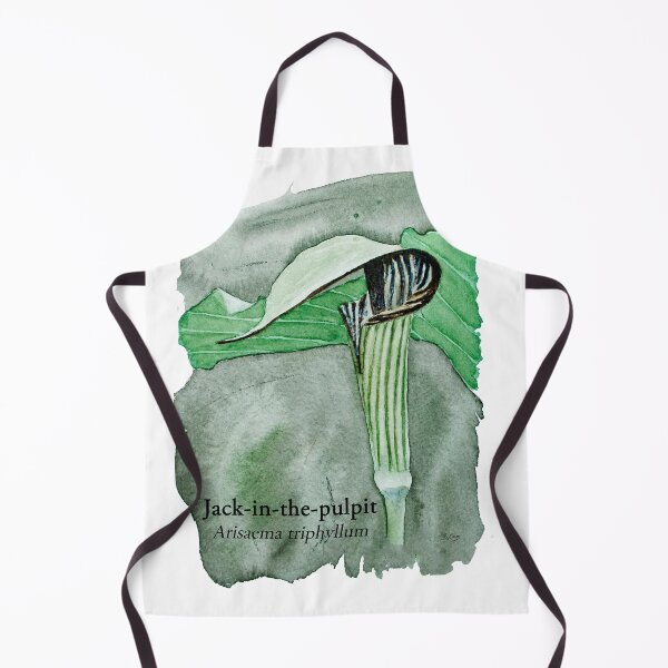 Item preview, Jack-in-the-pulpit Painting designed and sold by Stephen Emms.