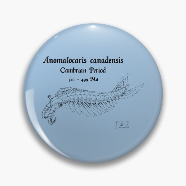 Item preview, Anomalocaris canadensis  designed and sold by DavidNeffArt.