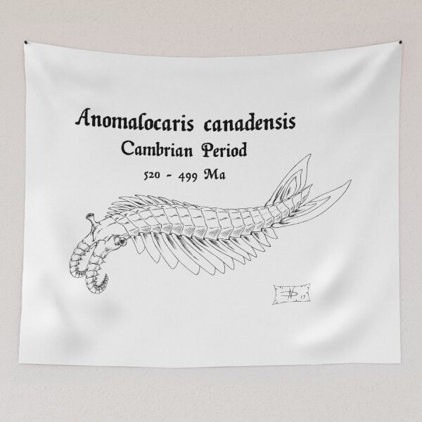 Item preview, Anomalocaris canadensis  designed and sold by DavidNeffArt.