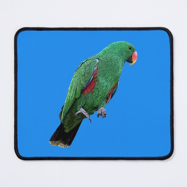 Item preview, Male Moluccan Eclectus Parrot Color Design designed and sold by designsasstultd.