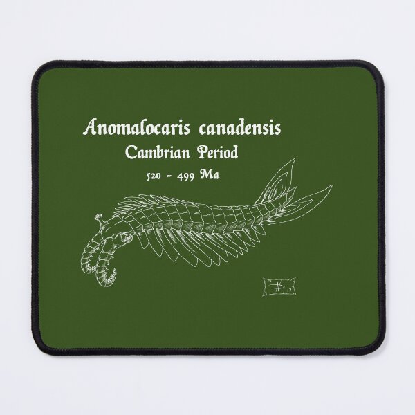 Item preview, Anomalocaris canadensis designed and sold by DavidNeffArt.