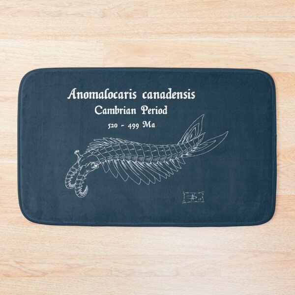 Item preview, Anomalocaris canadensis  designed and sold by DavidNeffArt.