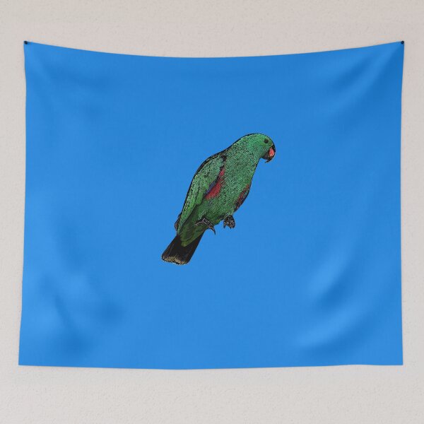 Item preview, Male Moluccan Eclectus Parrot Black Alternate Design  designed and sold by designsasstultd.