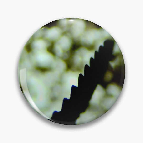 Item preview, Scolecodont Jaw Element designed and sold by Pr0teusUnbound.