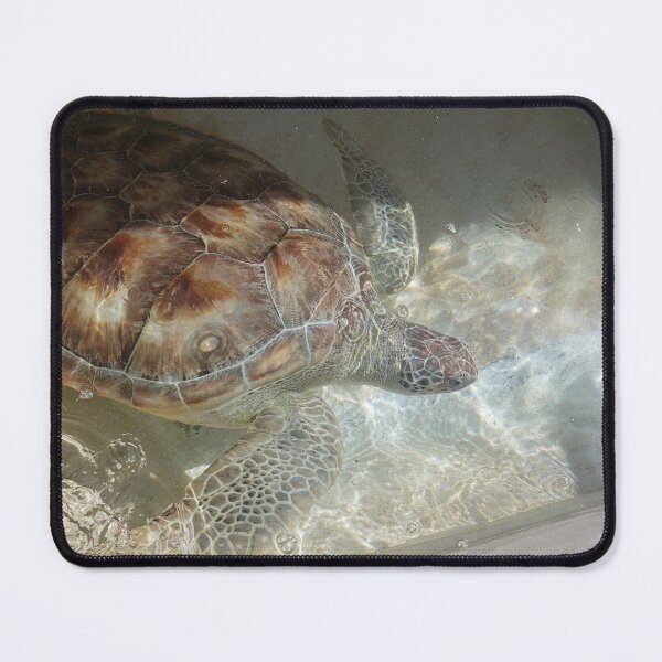Item preview, Grand Turtle designed and sold by arm1113.
