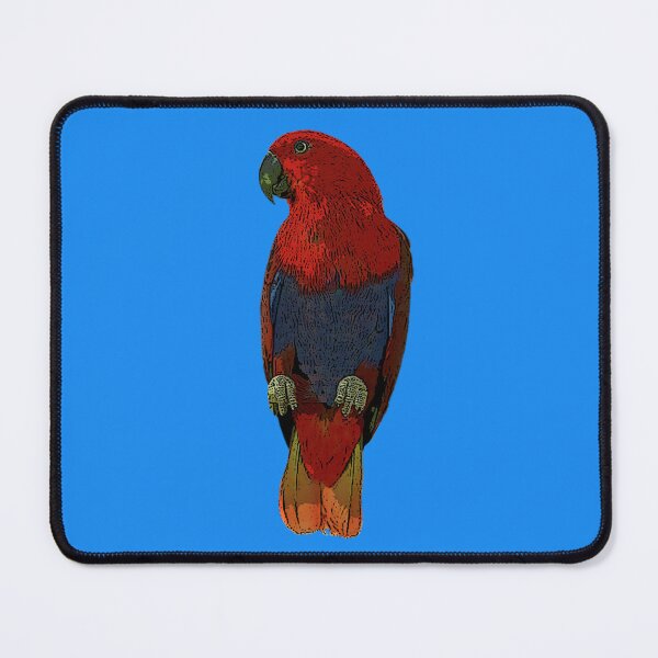 Item preview, Female Moluccan Eclectus Parrot Color Design designed and sold by designsasstultd.