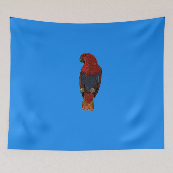 Item preview, Female Moluccan Eclectus Parrot Color Design  designed and sold by designsasstultd.