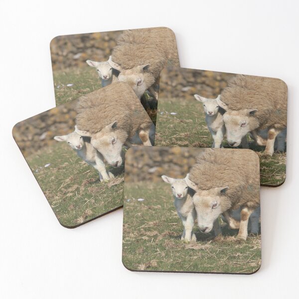 Item preview, A Sign Of Spring! designed and sold by francophotos.