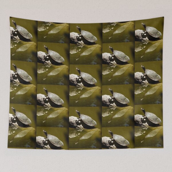 Item preview, Turtle taking time to reflect designed and sold by Mark Grimsley.
