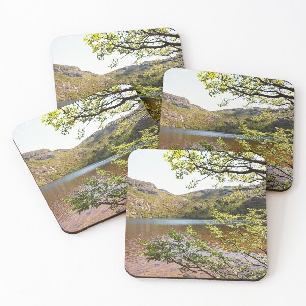 Item preview, Nothofagus Beech at Crater Lake  designed and sold by timmyvincent.
