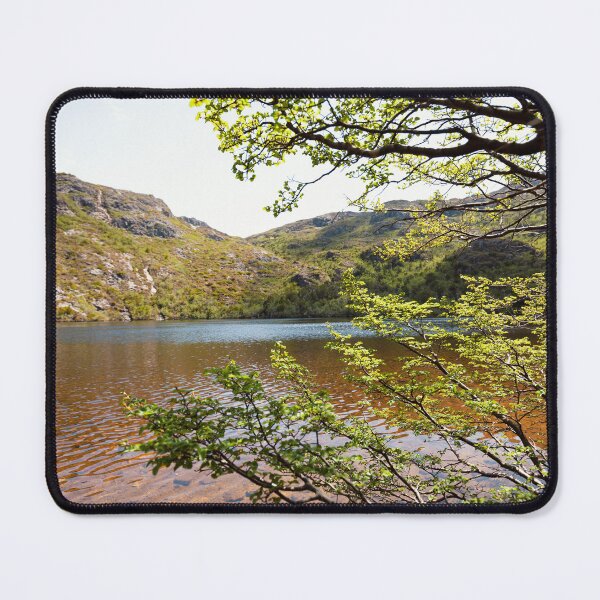 Item preview, Nothofagus Beech at Crater Lake  designed and sold by timmyvincent.